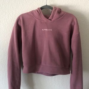 ALPHALETE mauve cropped teddy hoodie